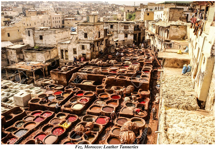 Fez Morocco leather tanneries